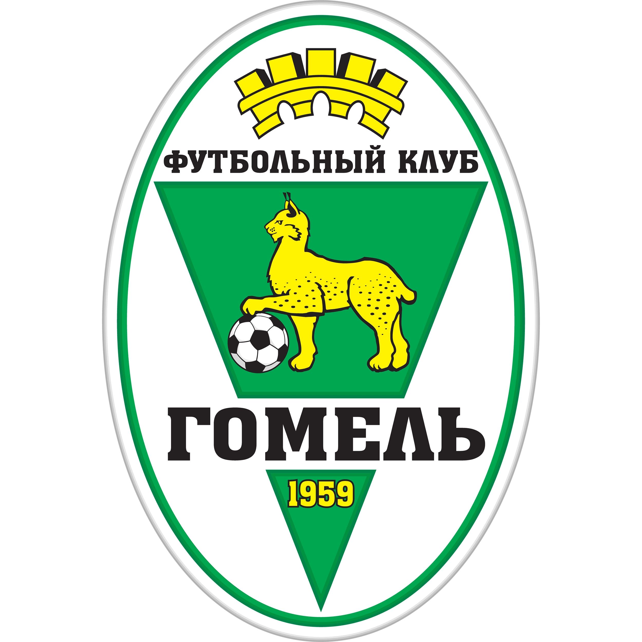 Футбольный клуб «Гомель»