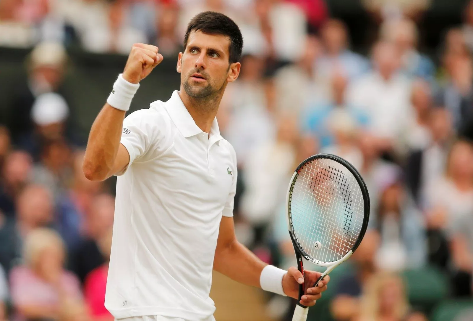 Новак Джокович прокомментировал потенциальное отсутствие на US Open
