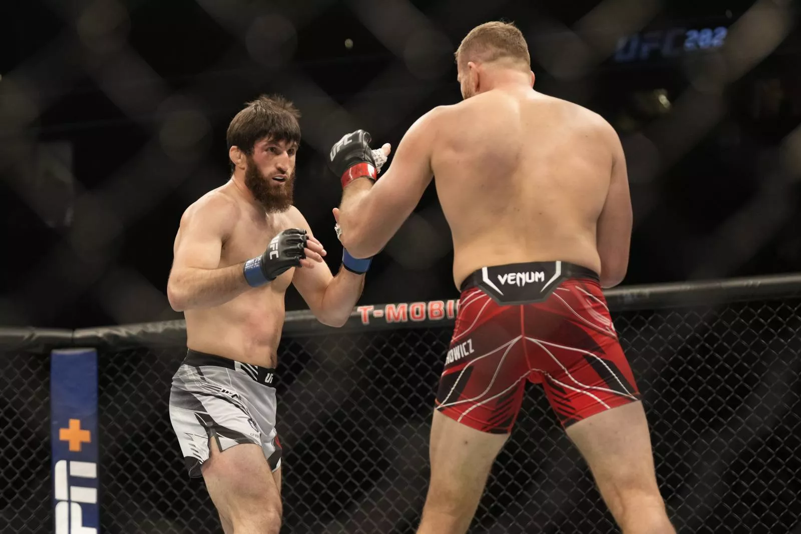 Анкалаев топ-3 обновленного рейтинга UFC в полутяжелом весе